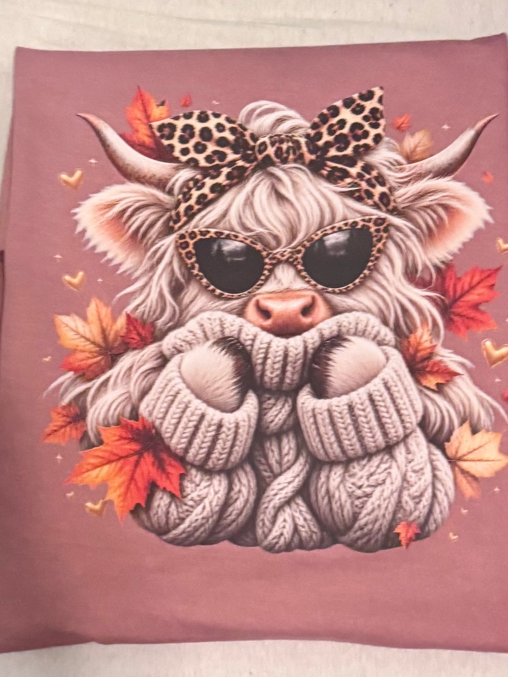 Women's Mauve Graphic T-shirt with Cozy Design